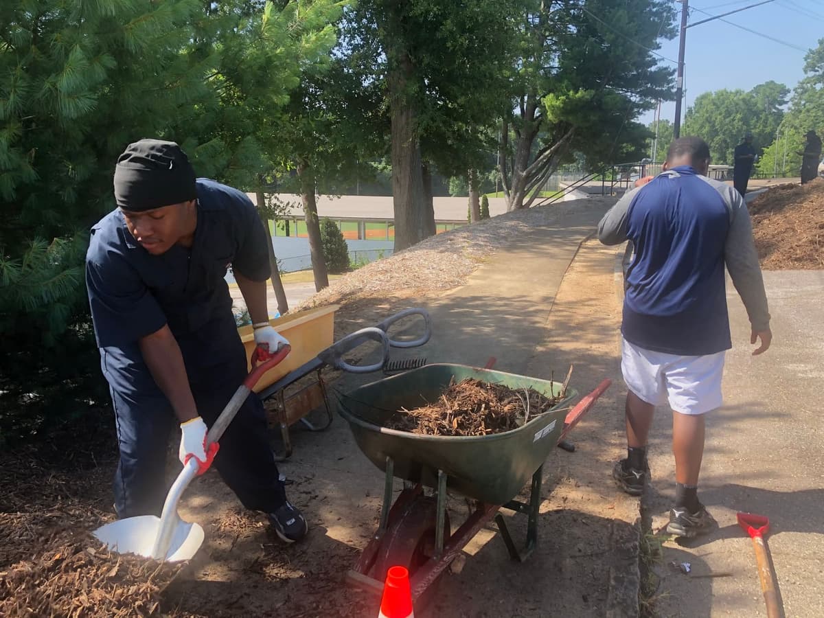 Non-native plants and bushes and “weeds” have been cleared behind the wall and grandstand.